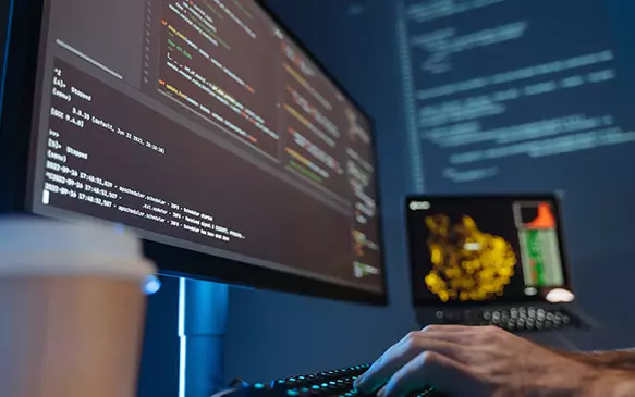 Desarrollo de sitios web